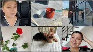 история повторилась/временный питомец/едем на дачу #rugiyavlog #жизнь50+