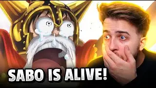 SABO IS ALIVEEEEE!! One Piece Episode 663, 664, & 665 Reaction
