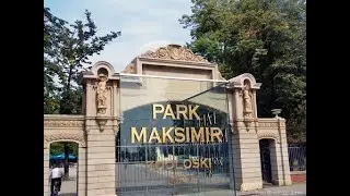 Upoznajte zagrebačke zebre