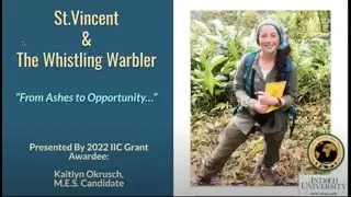 St. Vincent and the Whistling Warbler: From Ashes to Opportunity - Kaitlyn Okrusch