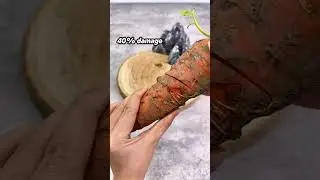 Which round do you need?