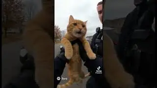 Softest fur in the county