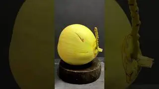 Lemonade Coconut &mdash; Fresh, Bright, Beautiful #coconutcutting #asmr