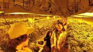 Margaret Cho and Selene Luna visit Dama Cannabis in Seattle!