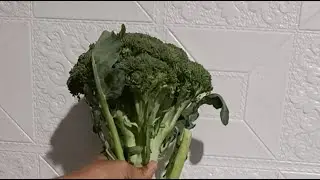 KITCHENQUEENSOMU is live #broccolirecipe #mixveg #cooking