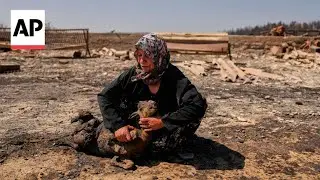 Scenes of devastation in Turkey as wildfires force thousands to evacuate