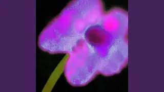 Don't You