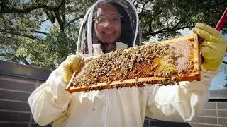 Janelle Dunlap Turns Beekeeping Into Art