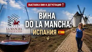 Вина DO La Mancha: выставка и дегустация | Испания 🇪🇸 