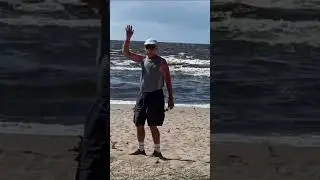 Чайки-мутанты на Рижском взморье  #чайка