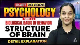 Structure and Functions of Brain | | Psychology| CUET PG | by Muskan Ma&rsquo;am|#cuetpg2026 #psychology