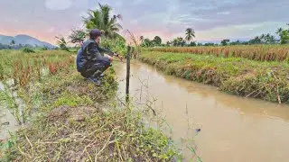 Mancing diterpa hujan strike berbagai macam ikan panjang mahal & jaer warna merah🤤🥰