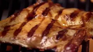 StudioAM - Waba Grill - 