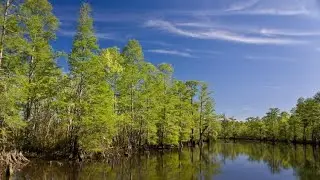 Scatterman Lake paddling trail