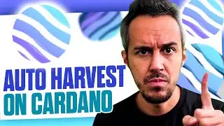 VyFinance - First NFT Staking Platform on Cardano - Winner of CNFT Award for Best Long-term Utility