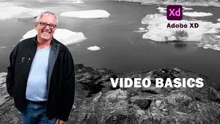 The basics of video in Adobe XD