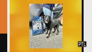 Humane Animal Rescue Of Pittsburgh Hosting Distribution