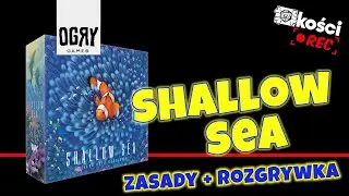 Kości REC - Shallow Sea (zasady + rozgrywka)