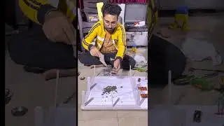Amazing irrigation project #viral #science #trending #project #technology