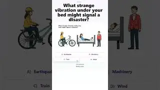 Bed Vibration Mystery: Disaster Warning Riddle Game