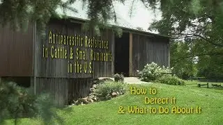 Antiparasitic Resistance in Cattle & Small Ruminants in the U.S.