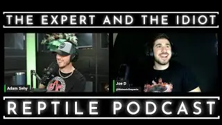 92 - Joe DeStefano of Meteoric Serpents LLC - The Expert and The Idiot - A Reptile Podcast