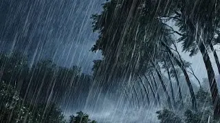 Heavy Rain and Strong Wind Sounds at Night 🌧️💨 | Deep Sleep, Relax, Stress Relief