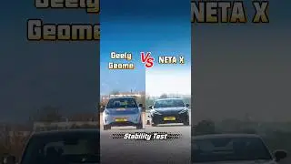 Stability Test：Geely Geome  VS NETA X#stability  #moosetest
