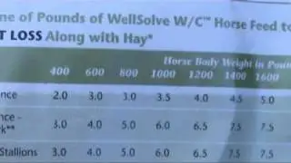 Wellsolve W/C horse feed review - weight control / good clicker treat