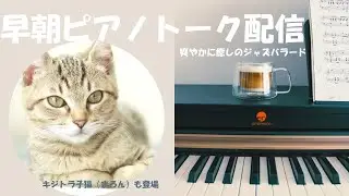 早朝ピアノトーク配信 たまに子猫