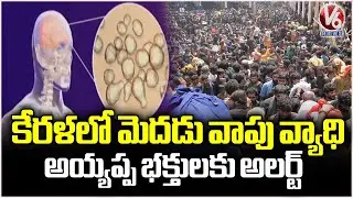 Kerala Issues Warning to Ayyappa Pilgrims Over Brain Swelling Disease | V6 News