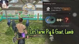 LifeAfter / Lets Farm Pig, Lamb & Goat