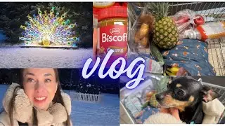 😳 Цены в Эстонии! Как выбрать вкусный ананас 🍍Усть-Нарва . Как я решила потратить деньги 🫰 