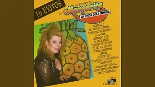 No te puedo querer