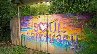 The Soul Sanctuary - Chirrip&oacute; Costa Rica