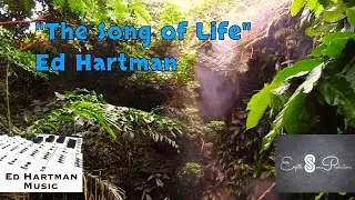 The Song of Life