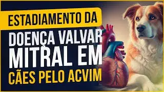 Estadiamento da doen&ccedil;a valvar mitral em c&atilde;es pelo ACVIM