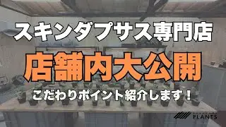 スキンダプサス専門店の中を大公開！