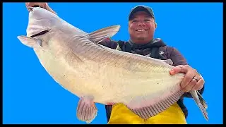 Do Catfish Bite in the Rain?  Spring Fishing for Catfish