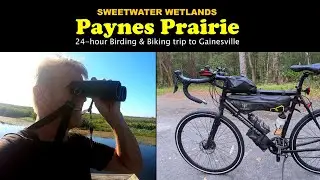 Birding and Biking in Paynes Prairie and Sweetwater Wetlands in Gainesville.