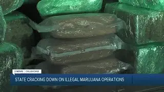 State Cracking Down on Illegal Marijuana Operations