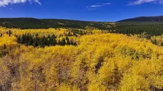 Remedy&rsquo;s View - Nederland - CO - 4K