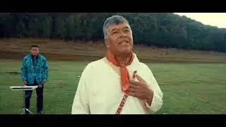 Crisol De Tlazalpan Al Pie De Un Arbol