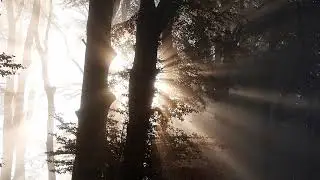 4K &Uuml;cretsiz Stok Video İndir - Doğa G&ouml;r&uuml;nt&uuml;s&uuml;