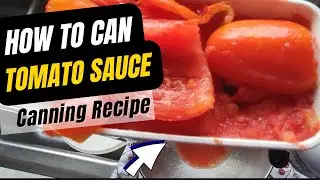 How to Can Tomato Sauce | SMALL BATCH CANNING RECIPES | San Marzano Tomatoes