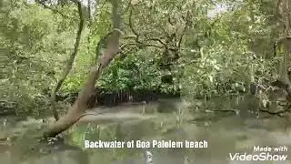 Goa Palolem Backwater.