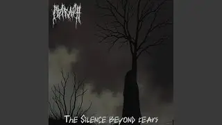 Mirrors Of Ash