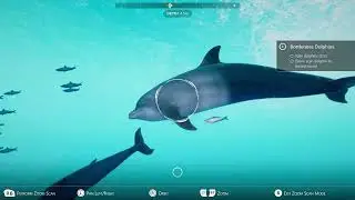 Beyond Blue Diving Game Part 6