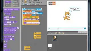 Scratch - Selection 03 - Nested Decision Statements & Multiple Decision Paths