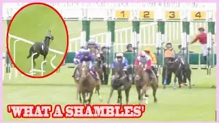 😱 Absolute Chaos at Windsor! Blindfolded Horse Smashes Barriers | Race Voided & Jockeys BANNED 🚨